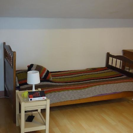 Bel Appartement Au Coeur Du Puy En Velay Le Puy-en-Velay Ngoại thất bức ảnh