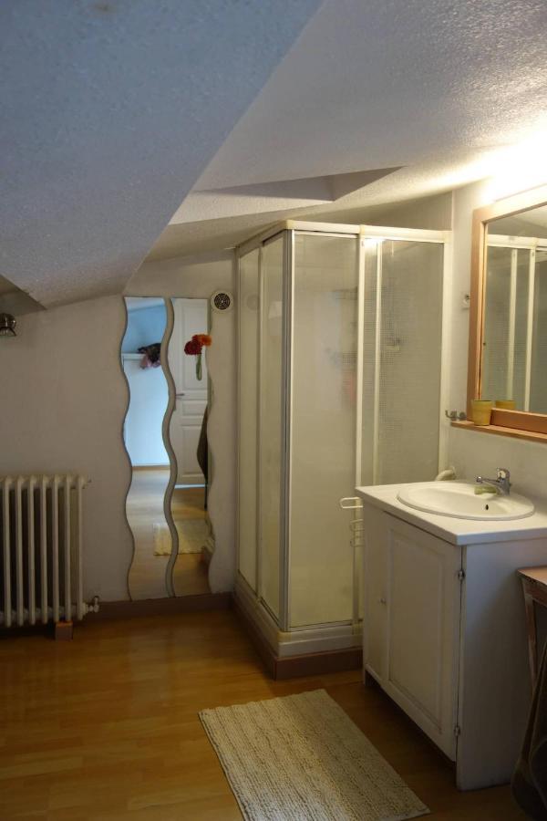 Bel Appartement Au Coeur Du Puy En Velay Le Puy-en-Velay Ngoại thất bức ảnh